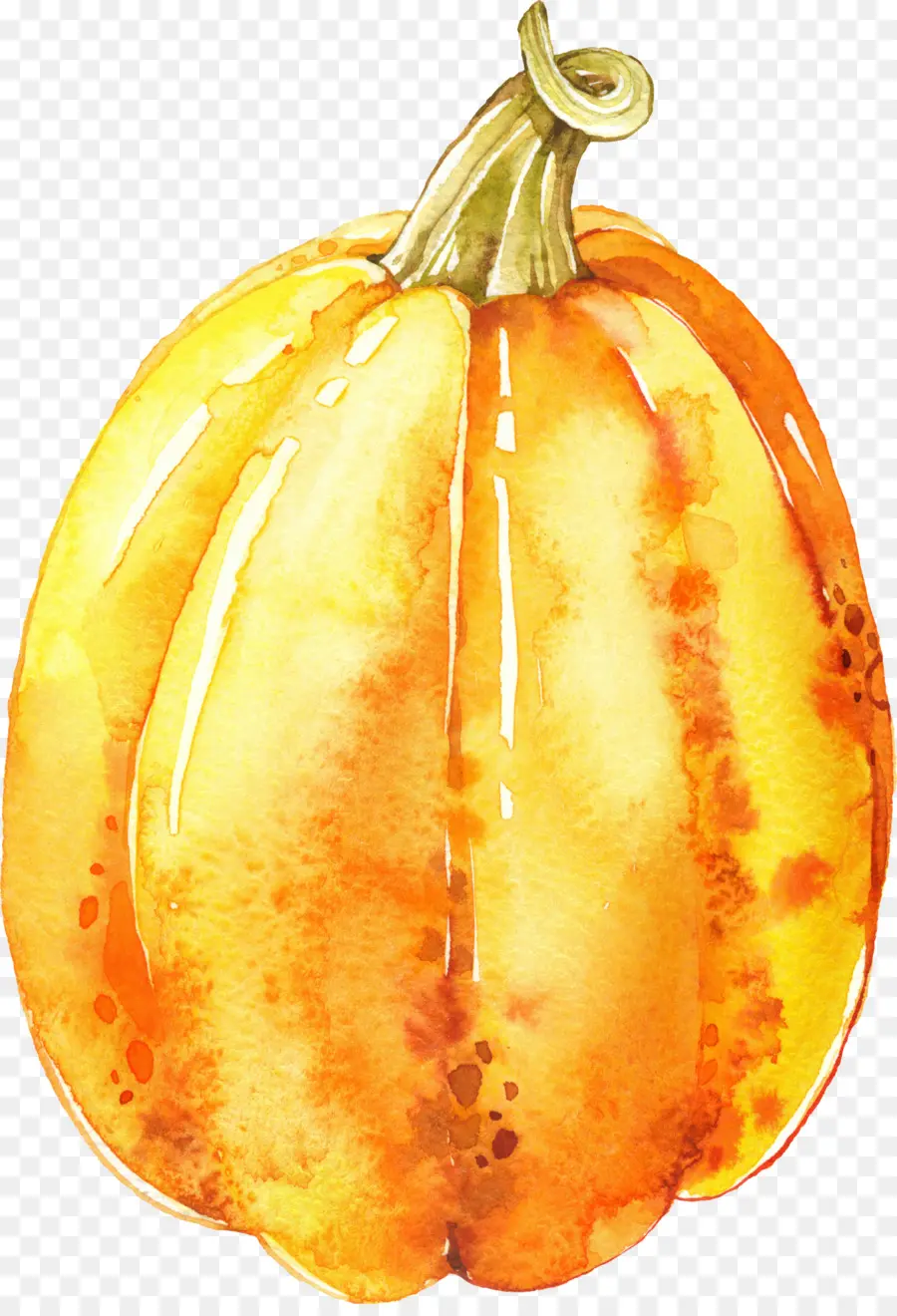 Citrouille，Récolte PNG