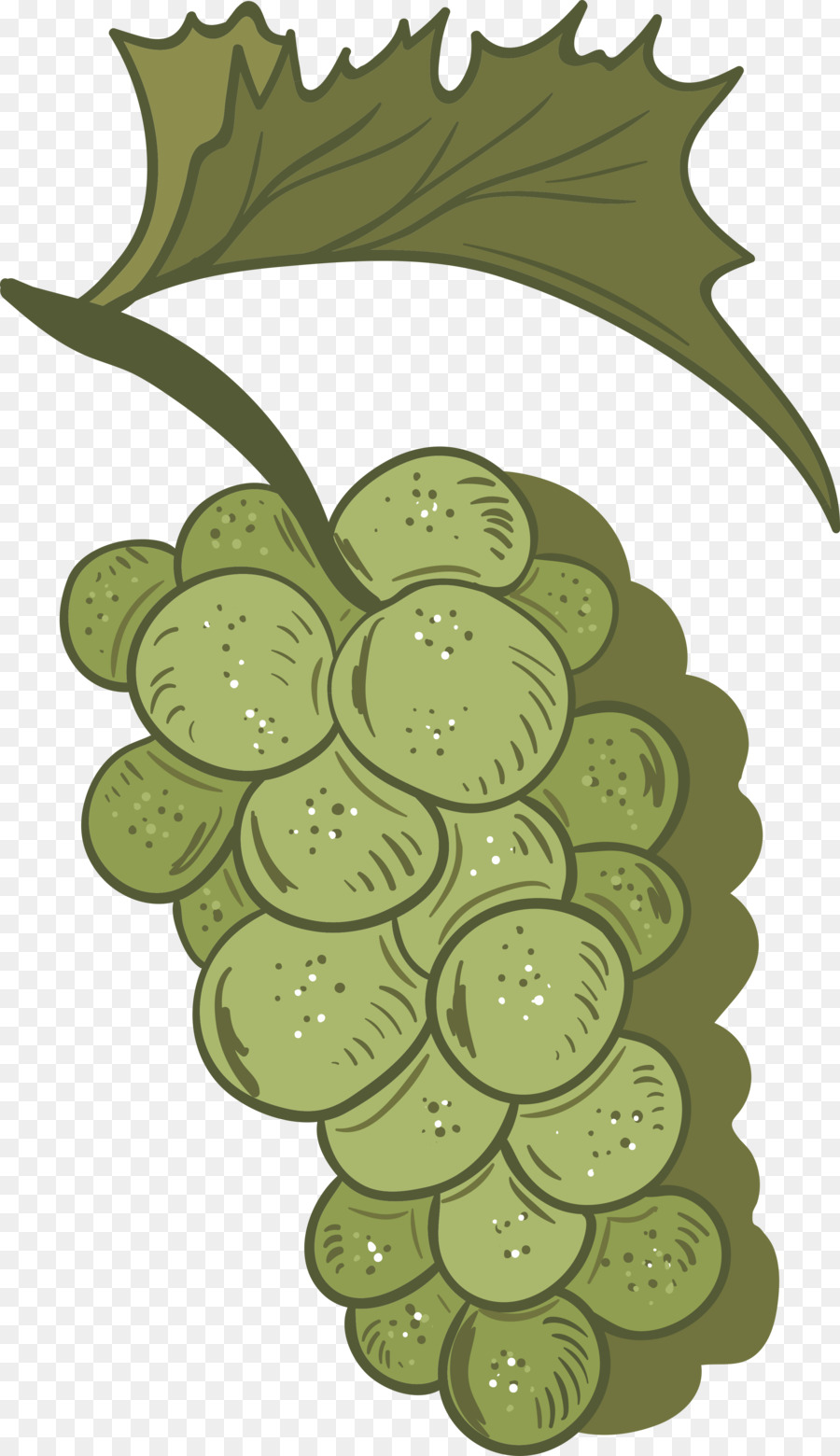 Raisin，Vecteur PNG