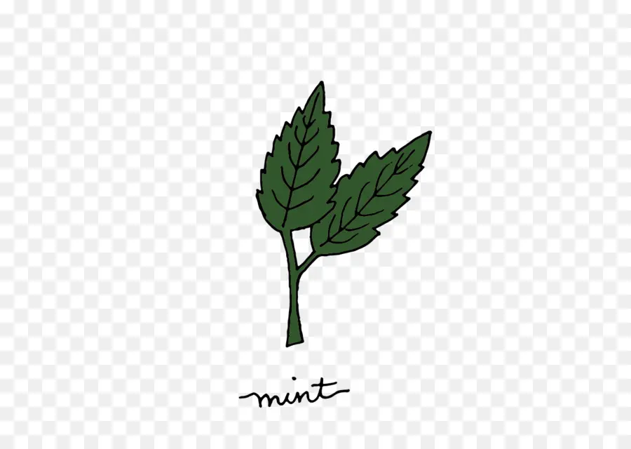 Feuilles De Menthe，Herbe PNG