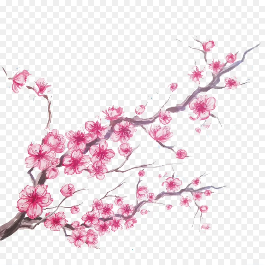 Fleur De Cerisier，Travail Créatif PNG