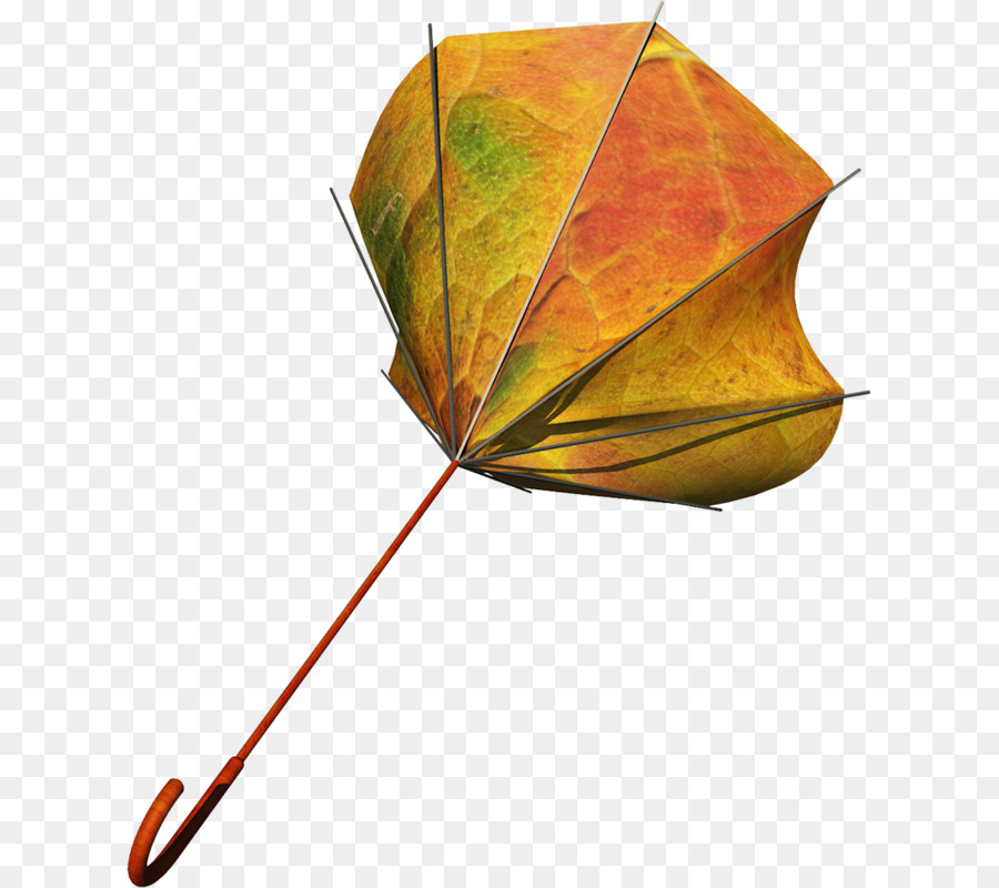Parapluie，Graphisme PNG