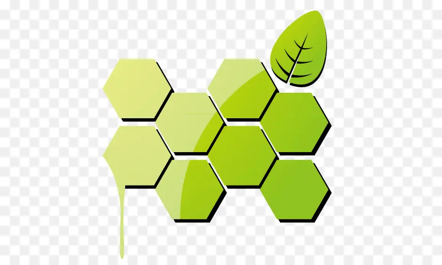 Hexagones Verts，Feuille PNG