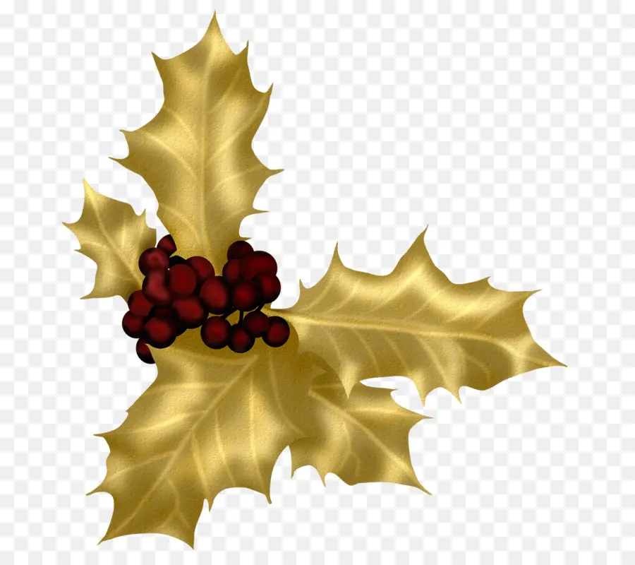 Houx，Feuilles PNG