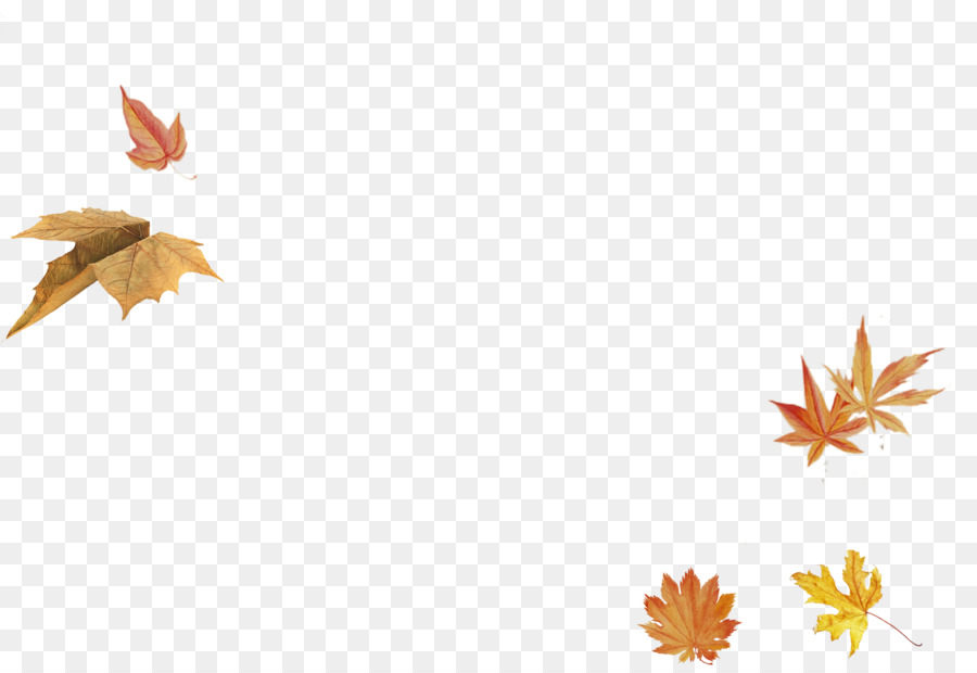 Feuilles D'automne，Automne PNG