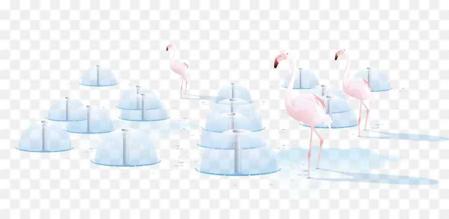 Flamants Roses，Glace PNG