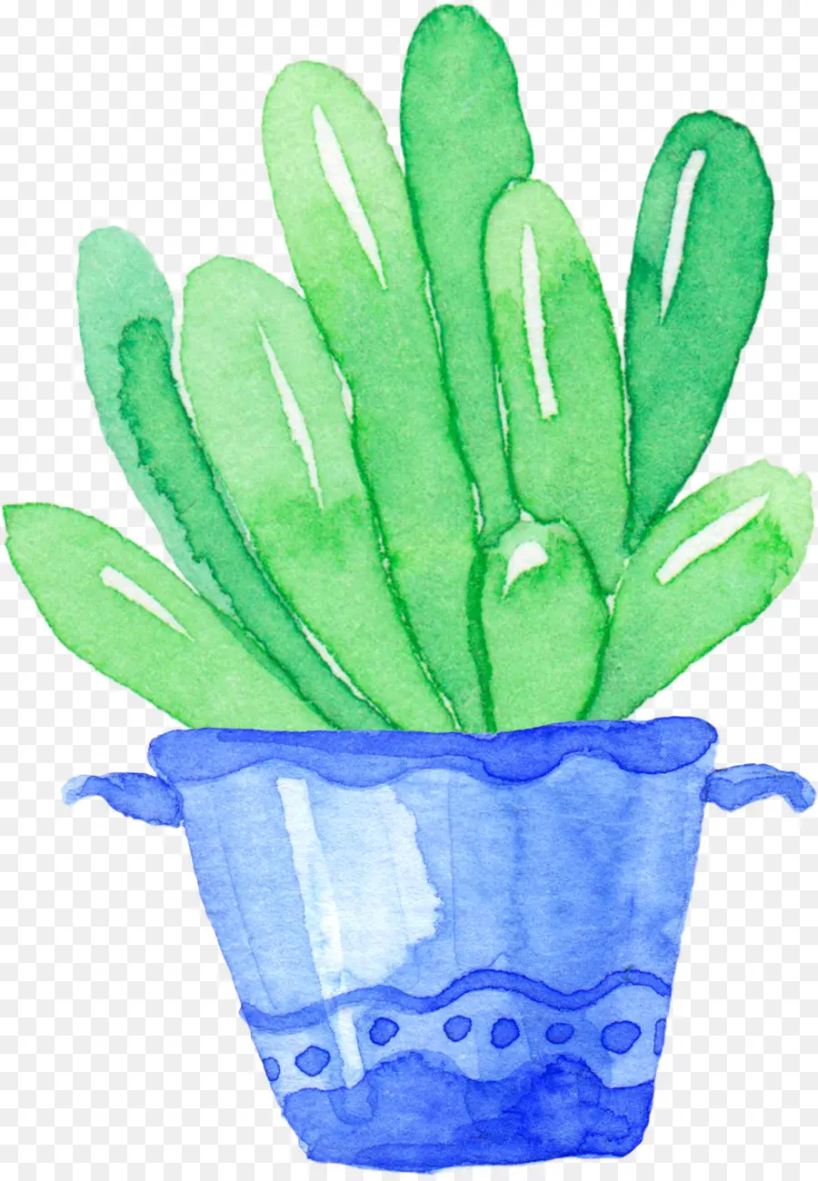 Plante Verte En Pot Bleu，Pot PNG