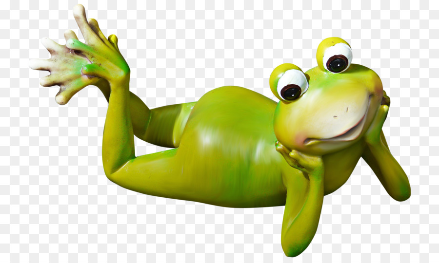 Grenouille，Dessin PNG