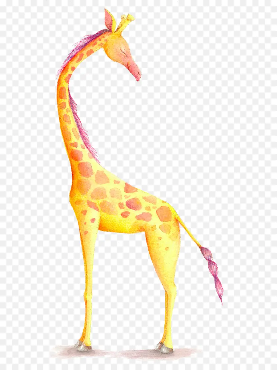 Girafe De Dessin Animé，Animal PNG