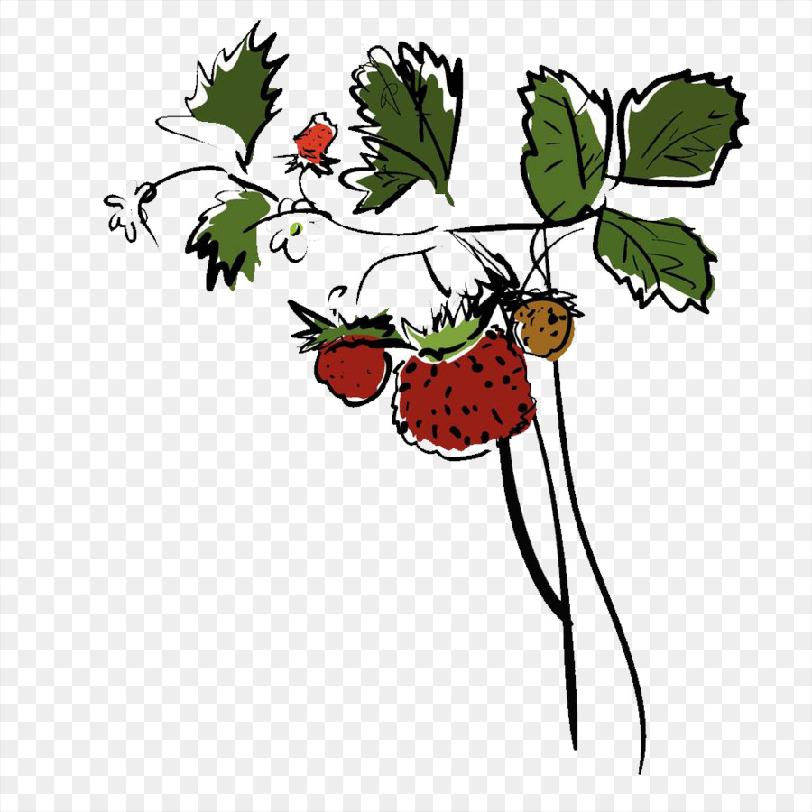 Fraises，Feuilles PNG