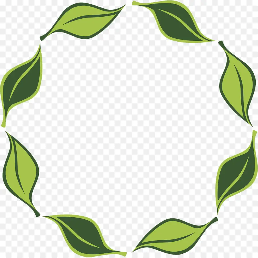 Cercle，Feuille PNG