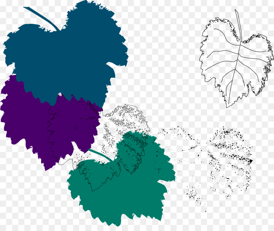 Feuilles，Coloré PNG