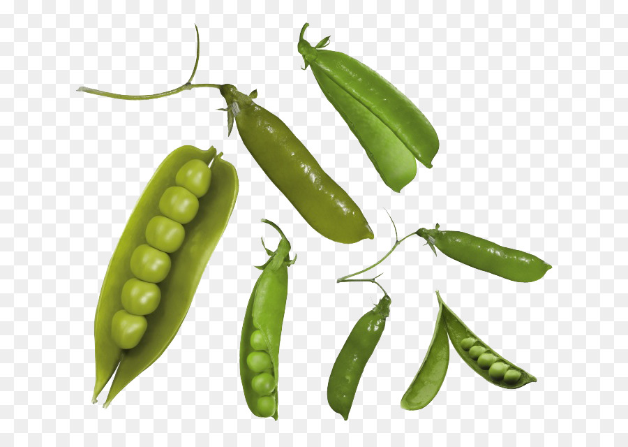 Pois Verts，Légume PNG