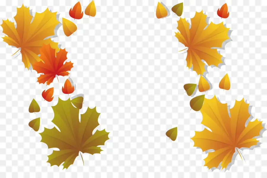 Feuilles D'automne，Automne PNG