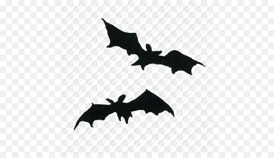 Chauve Souris，Halloween PNG