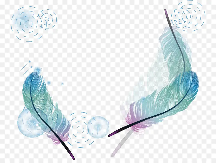 Plumes，Bleu PNG