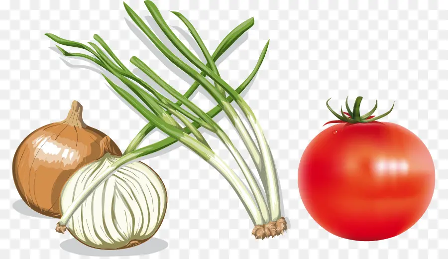 Légumes，Oignon PNG