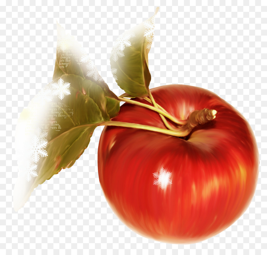 Pomme，Tomate PNG