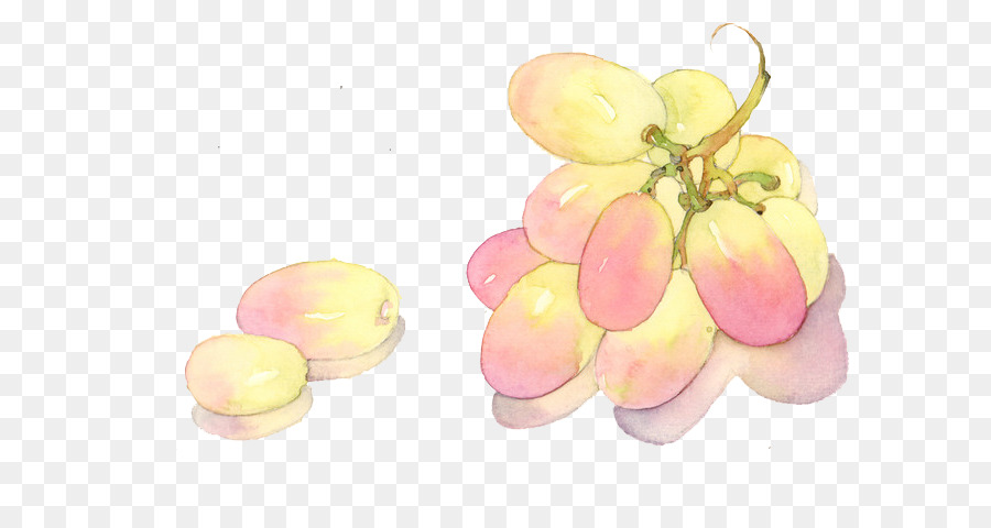 Raisins，Bouquet PNG