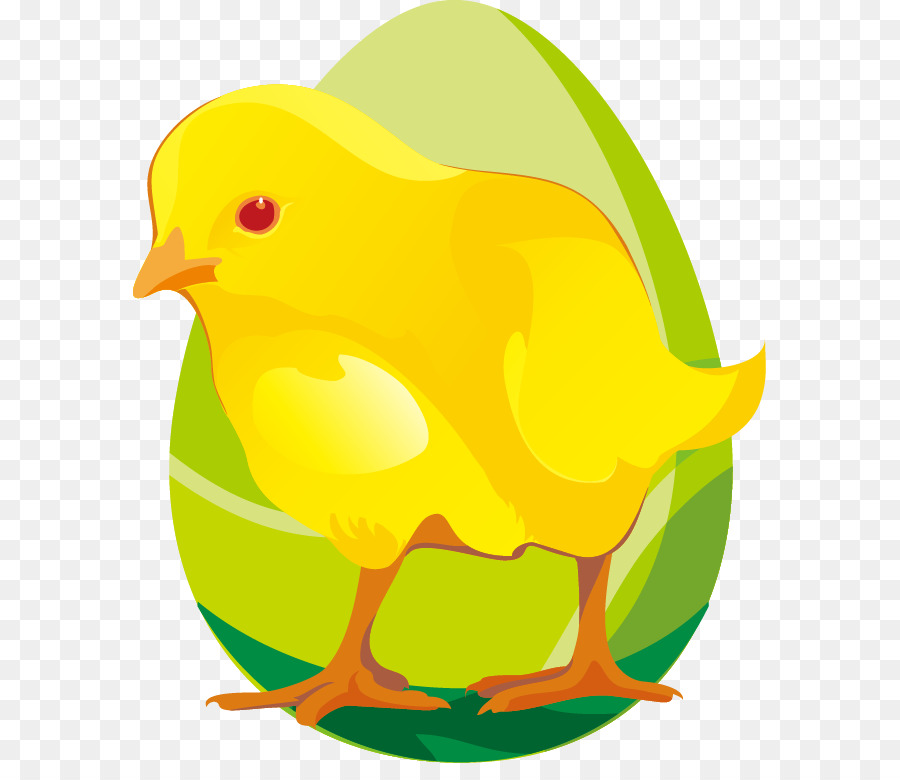 Poulet，Papier PNG