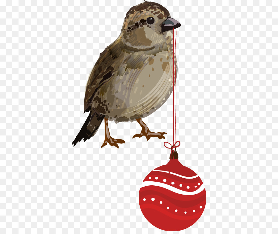 Oiseau Avec Ornement，Noël PNG