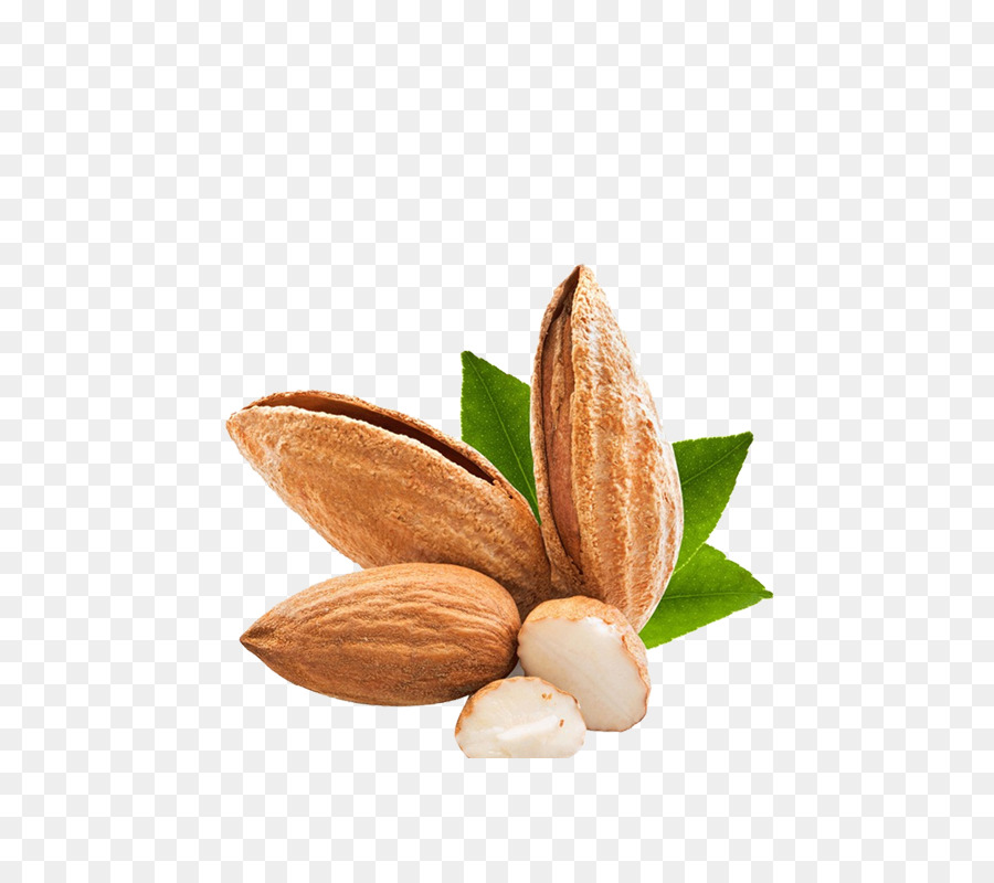 Amandes，Noix PNG