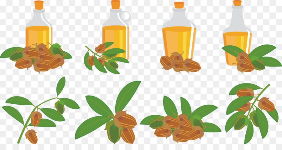 Huile De Jojoba，Feuilles PNG