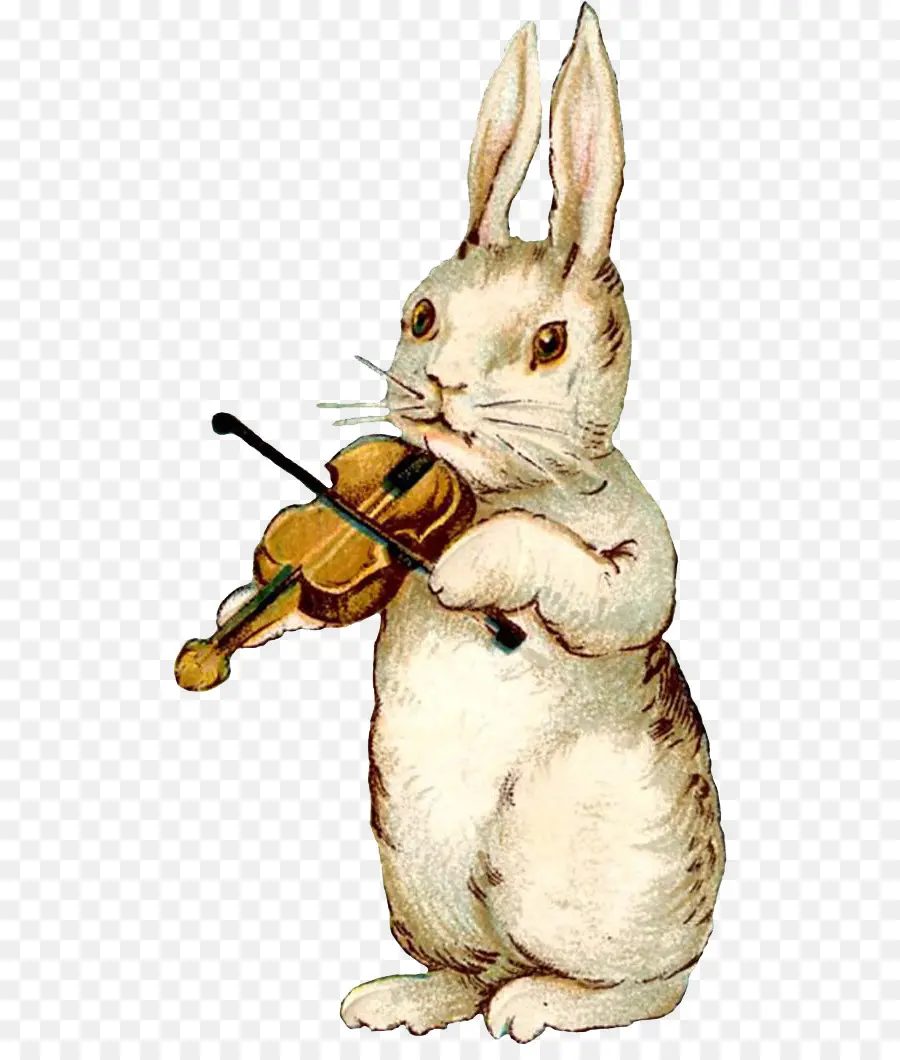 Lapin Avec Violon，Instrument PNG