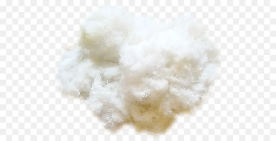 Coton，Doux PNG