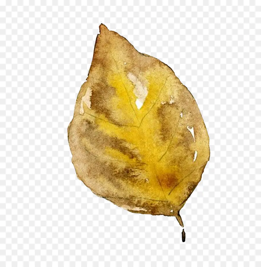 Feuille Jaune，Feuille PNG