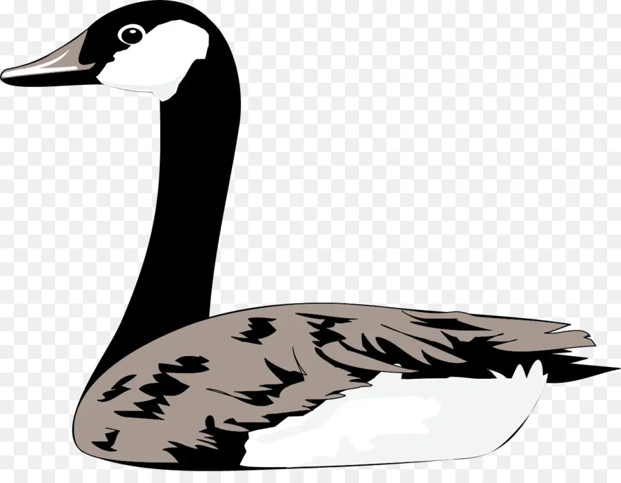 Oie，Oiseau PNG