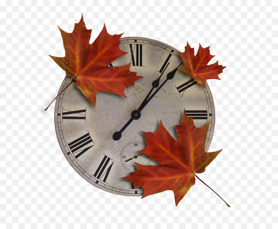 Horloge Avec Des Feuilles，Feuilles PNG