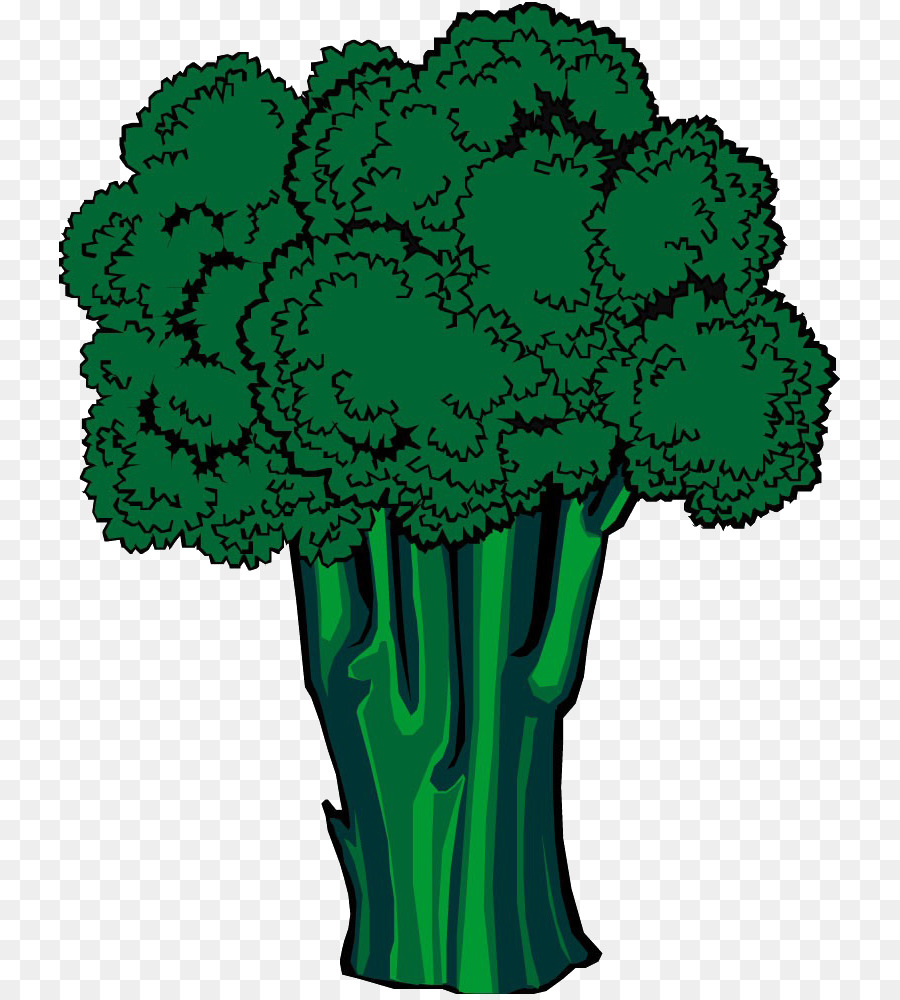 Brocoli Vert，En Bonne Santé PNG