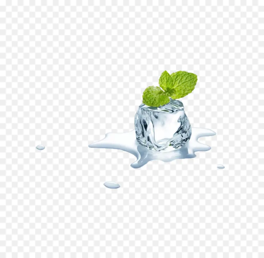 Glaçon à La Menthe，Fusion PNG