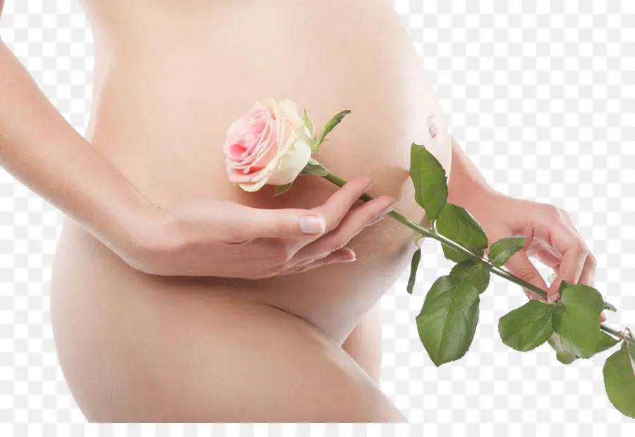 Femme Enceinte，Rose PNG