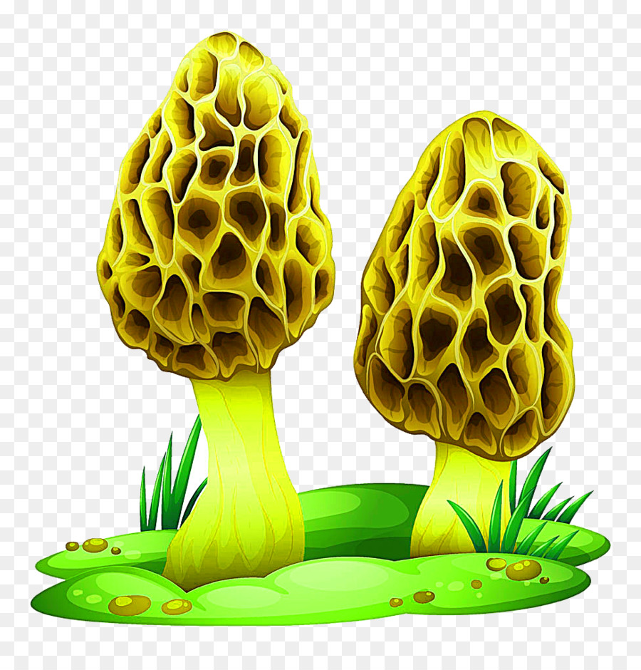 Champignon，Champignon Comestible PNG