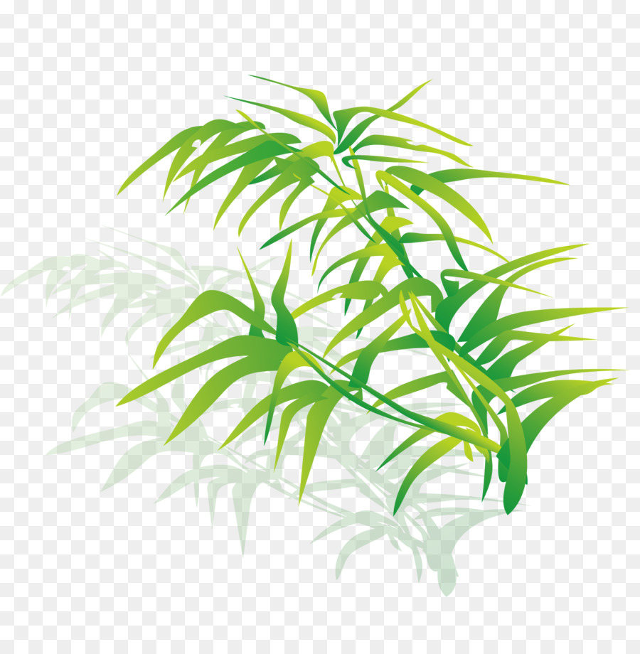 Herbe，Vert PNG