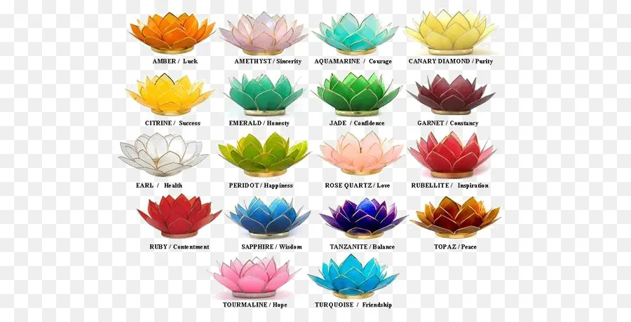 Fleurs De Lotus，Couleurs PNG