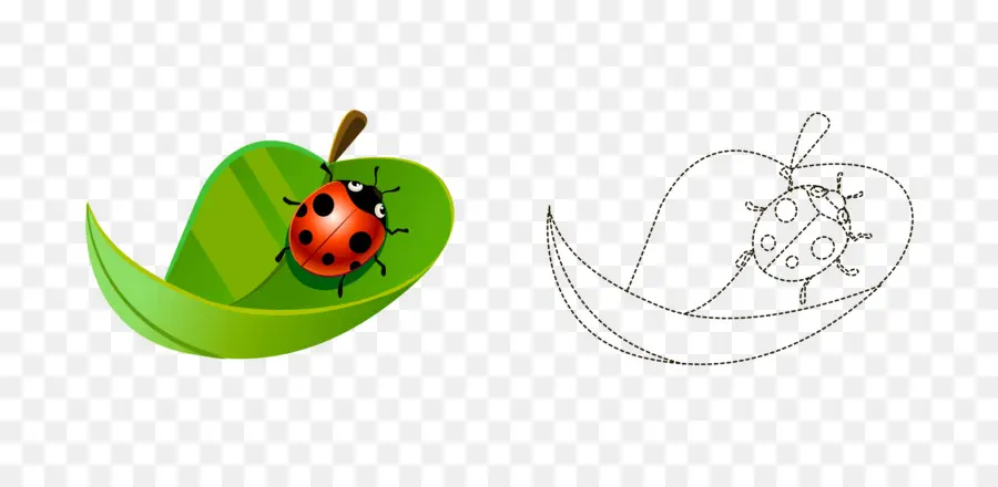 Coccinelle，Feuille PNG