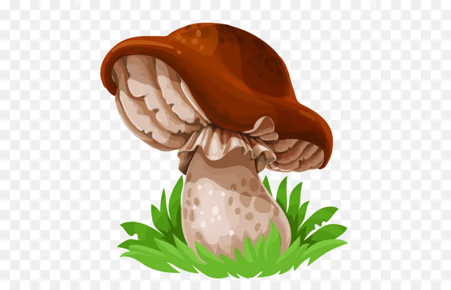 Champignon，Dessin PNG