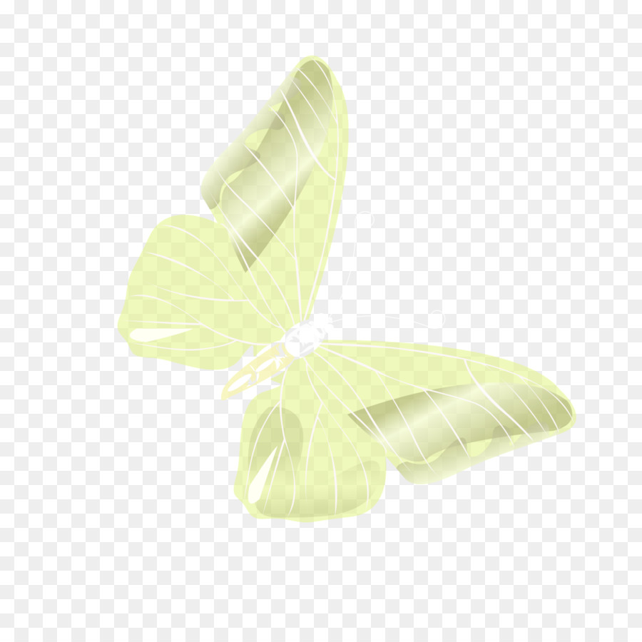 Papillon，Angle PNG