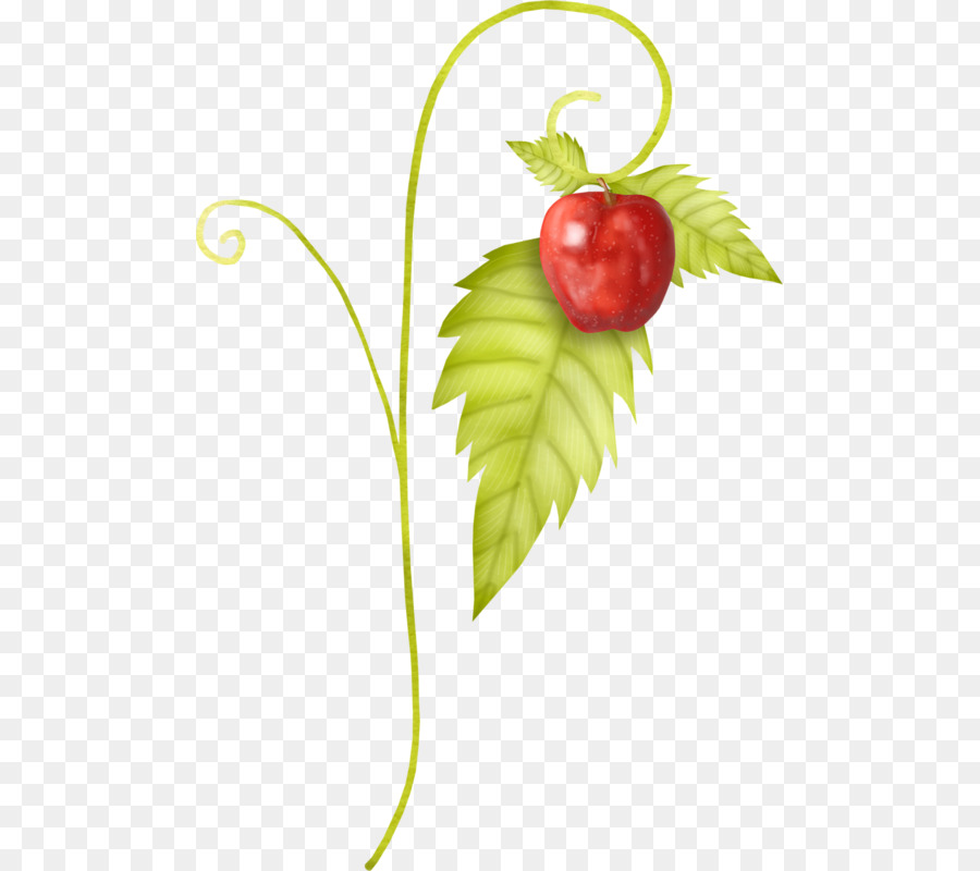 Fraise，Pomme PNG