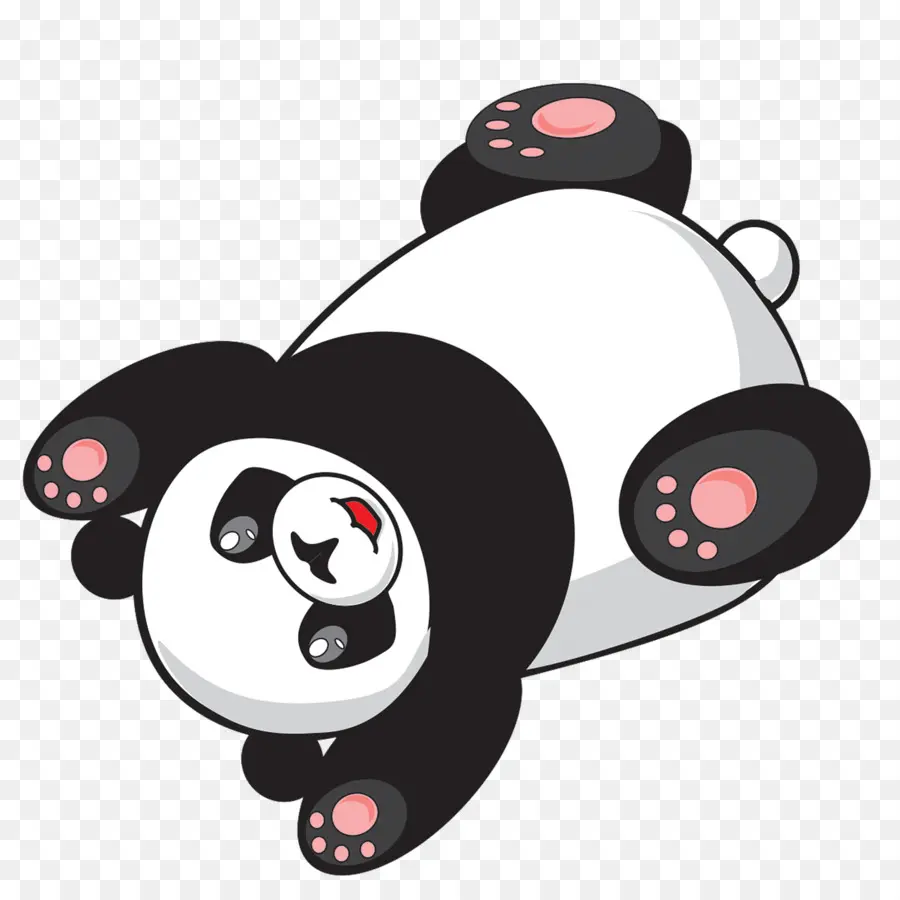 Panda，Mignon PNG