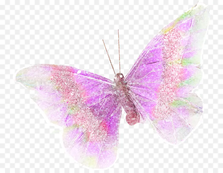 Papillon Violet，Ailes PNG