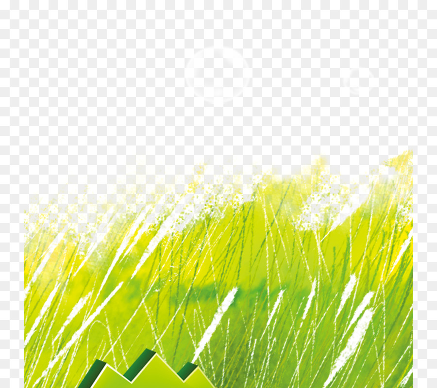 Vert，Oeuvres PNG