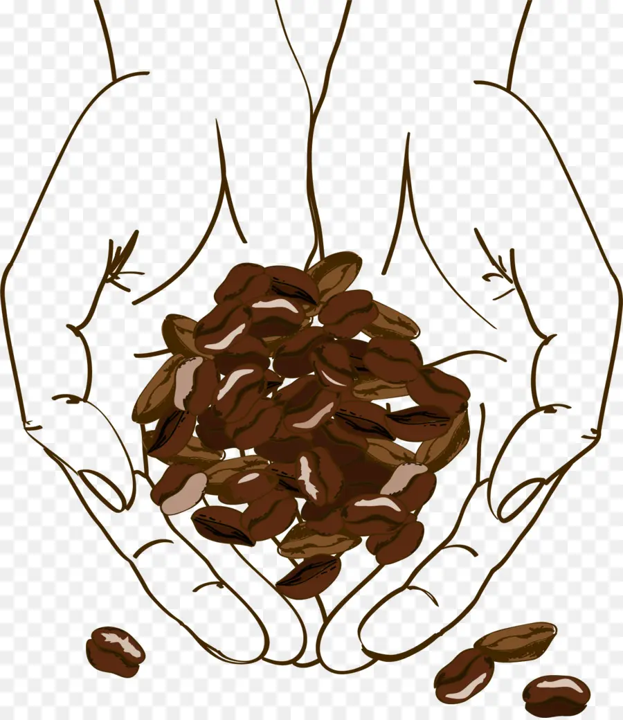 Café En Grains，Mains PNG