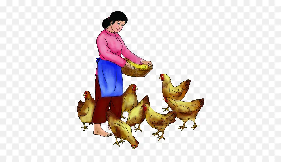 Femme Nourrissant Des Poulets，Poulets PNG