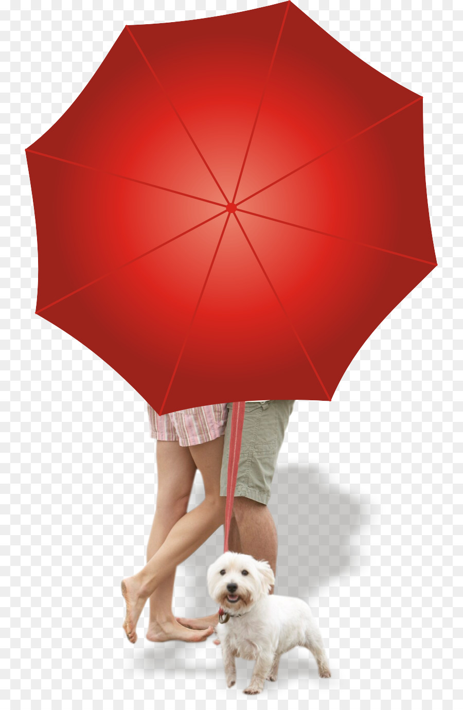 Parapluie，Rouge PNG