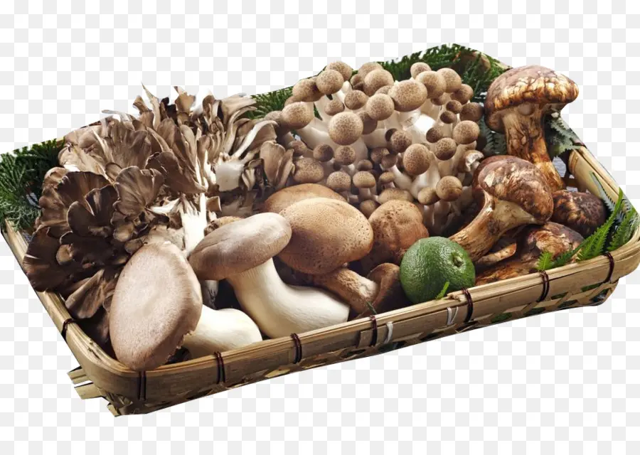 Champignon，Légume PNG