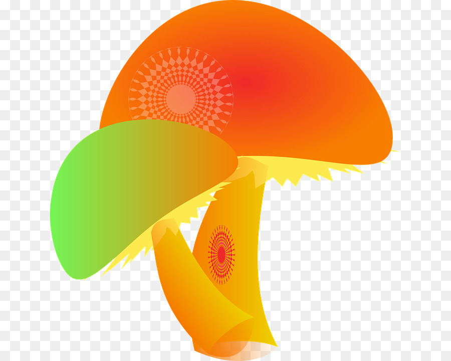 Champignon，Champignons PNG