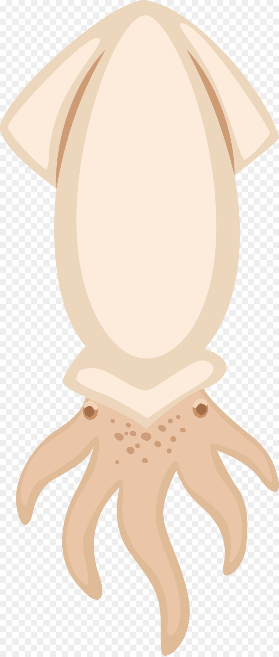 Calmar，Tentacules PNG